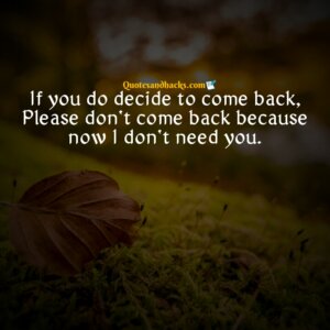 Best Dont Come Back Quotes