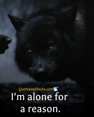 30 Lone Wolf Quotes That Will Trigger Your Mind