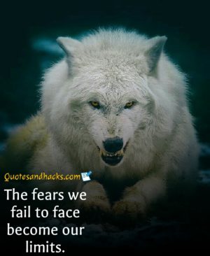 64 Lone wolf quotes that will trigger your mind