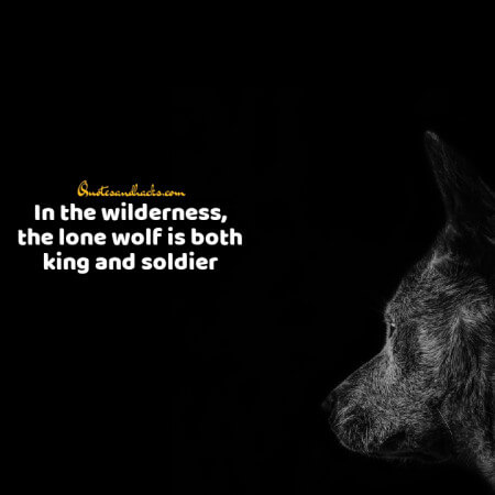 Lone wolf quotes