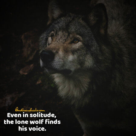 Lone wolf quotes