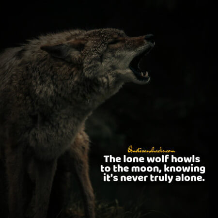 Lone wolf quotes