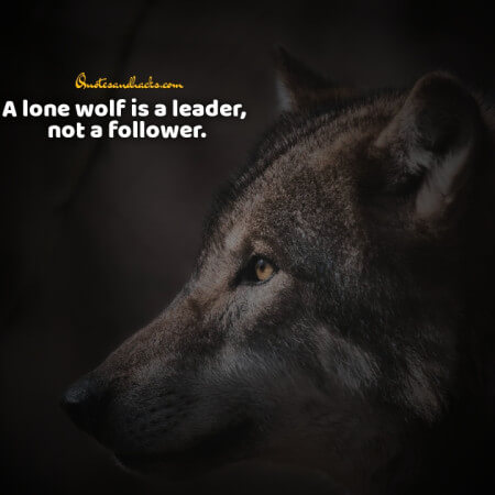 Lone wolf quotes