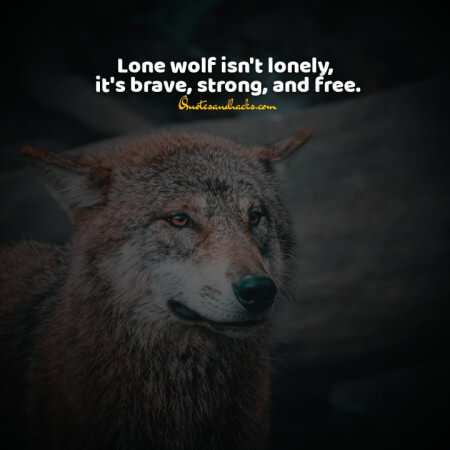 Lone wolf quotes