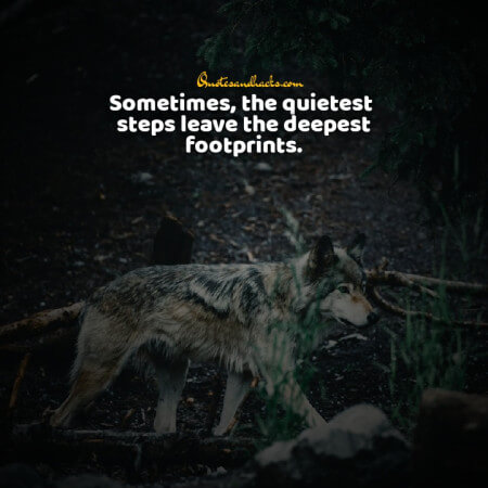 Lone wolf quotes