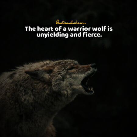 Lone wolf quotes