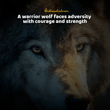 Lone wolf quotes