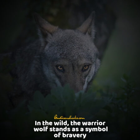 Lone wolf quotes