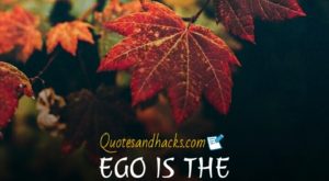 Ego is the enemy quotes