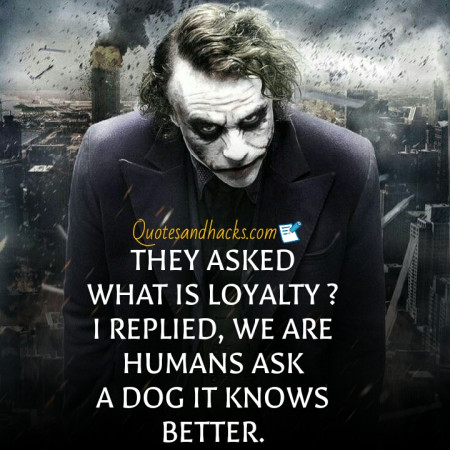 60 Best Joker Quotes on life - Quotes and Hacks