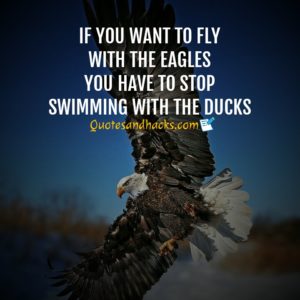 30 Best Eagle Quotes