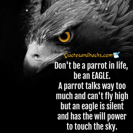 30 Best Eagle Quotes Quotes And Hacks