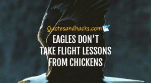 Eagle quotes