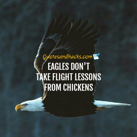 Eagle quotes