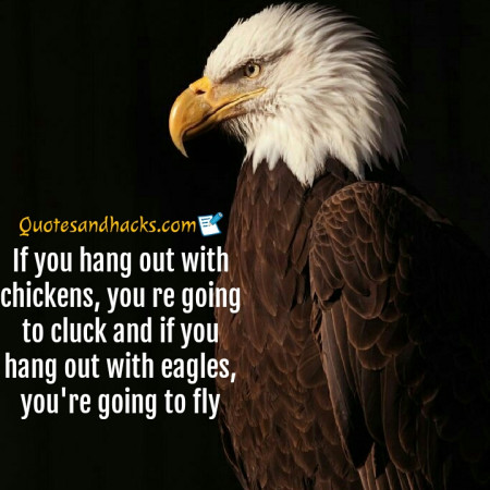 30 Best Eagle Quotes - Quotes And Hacks