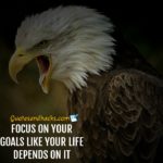 30 Best Eagle Quotes