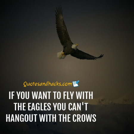 If You Want To Soar With The Eagles Quote - You Can T Soar Like An