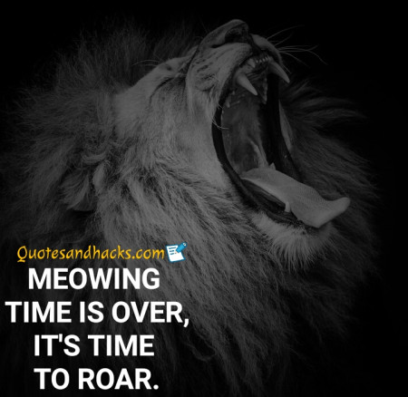 50 Best Lion Quotes - Quotes and Hacks