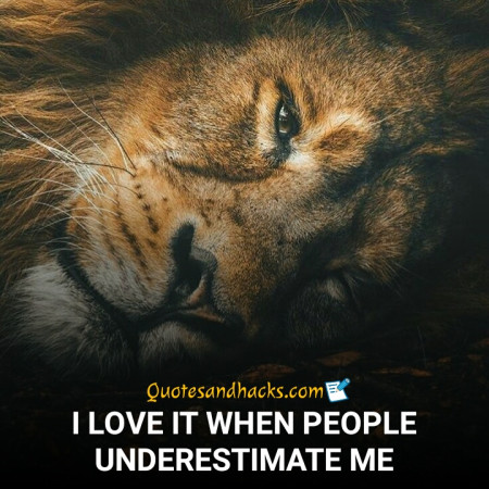 50 Best Lion Quotes - Quotes and Hacks