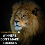 50 Best Lion Quotes