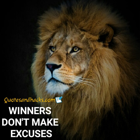 50 Best Lion Quotes - Quotes and Hacks