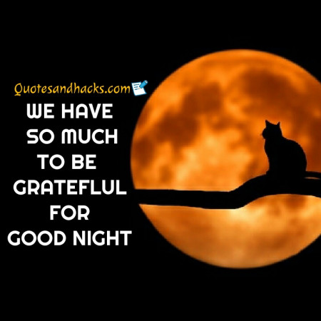 good night quotes