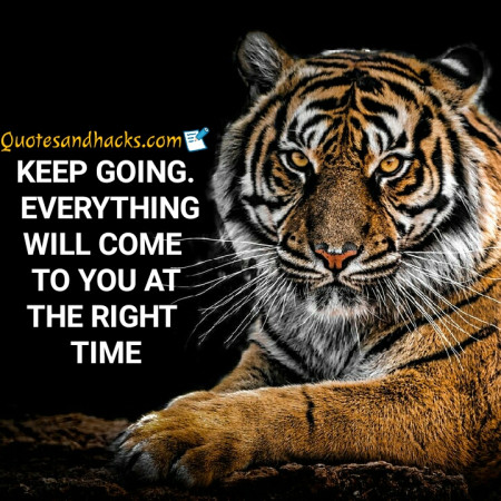 tiger quotes