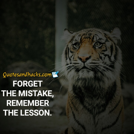 tiger quotes