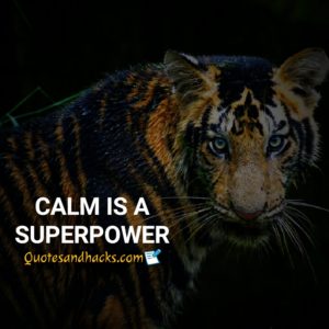 25 Best Tiger quotes