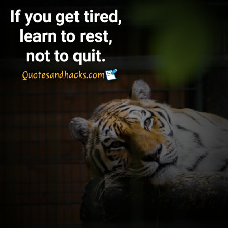 tiger quotes