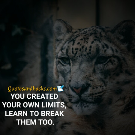 tiger quotes