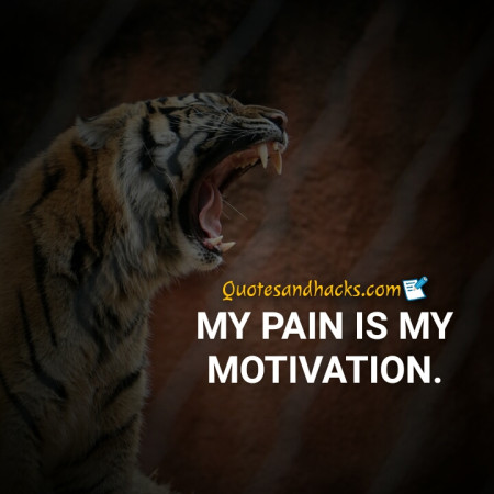 tiger quotes