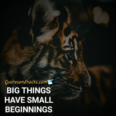 tiger quotes