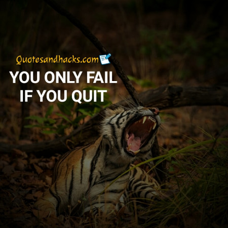 tiger quotes