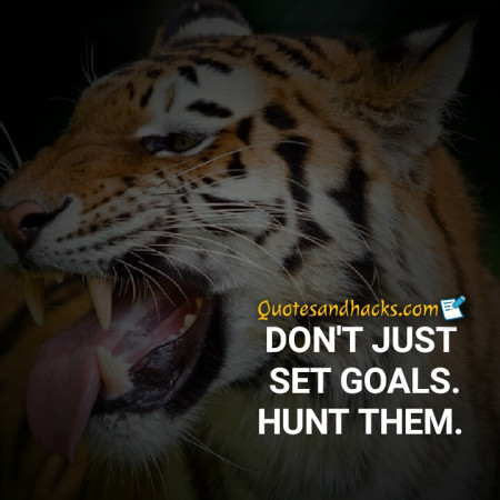 25 Best Tiger quotes - Quotes and Hacks