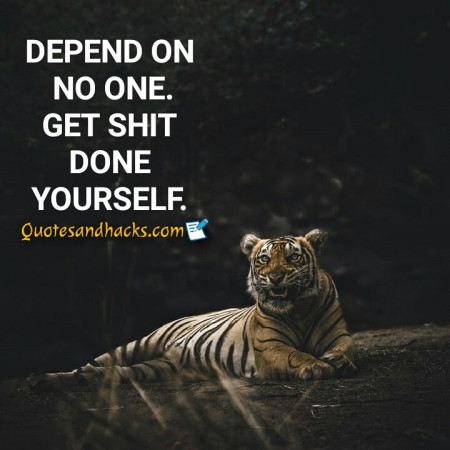 tiger quotes