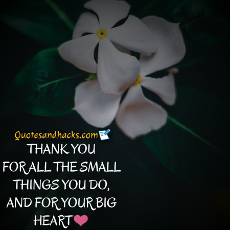 thank you quotes