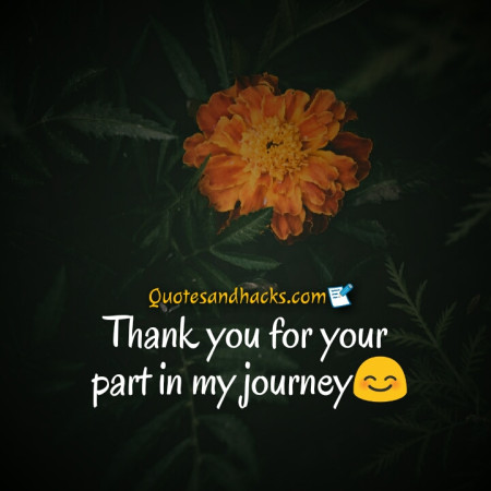 thank you quotes