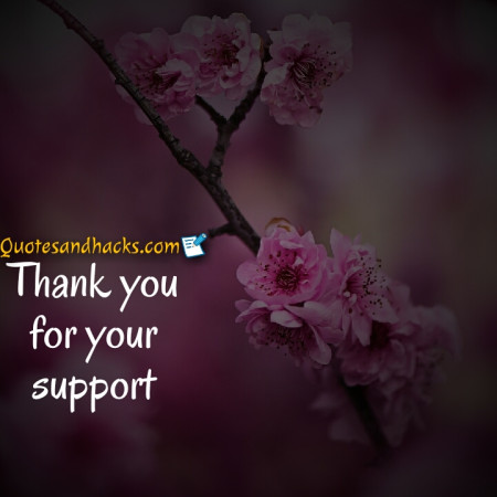 thank you quotes