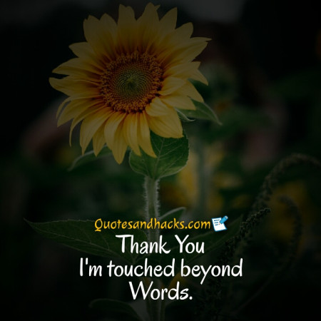 30 Best Thank you quotes - Quotes and Hacks