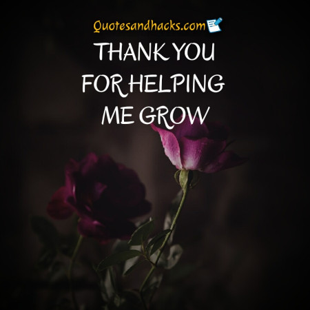 thank you quotes