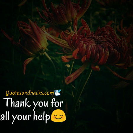 thank you quotes