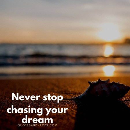 30 Best Dream quotes Inspirational