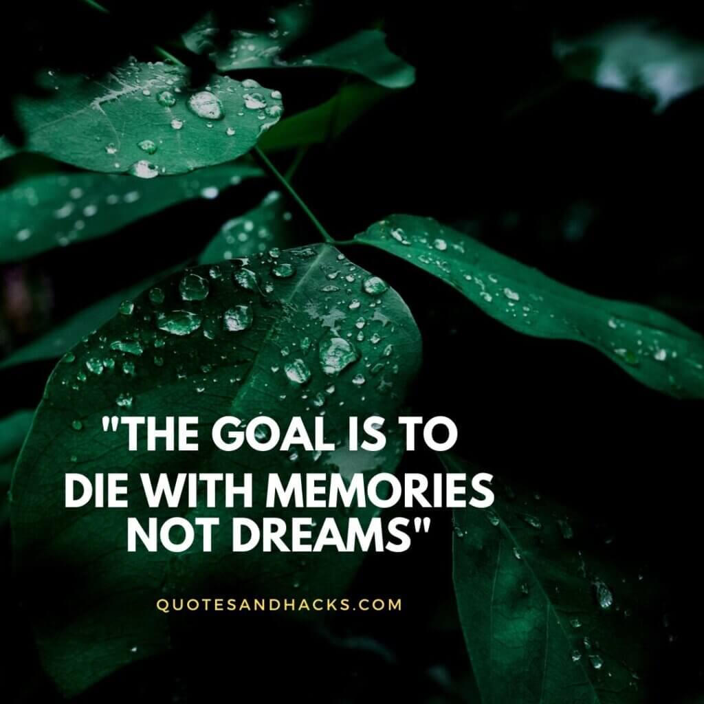 Dream quotes