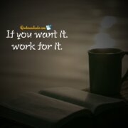 55 Best Quotes of the day positive