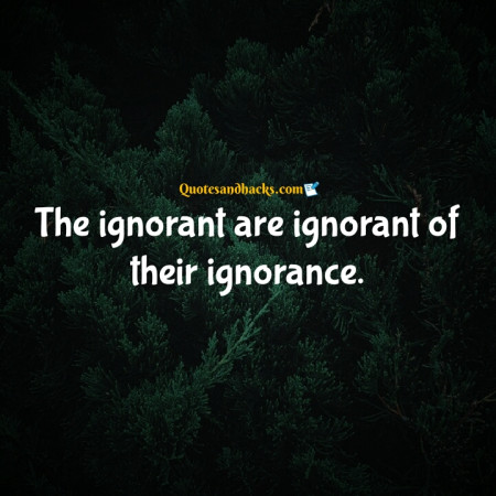 ignorance quotes