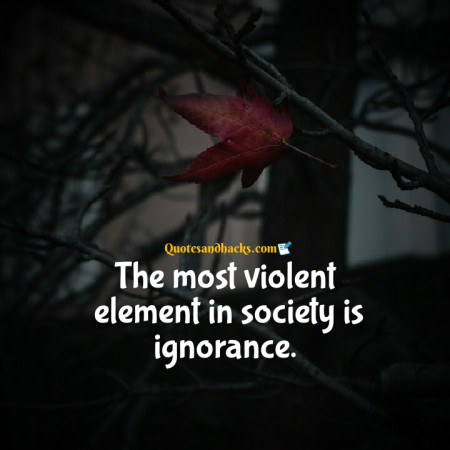 ignorance quotes