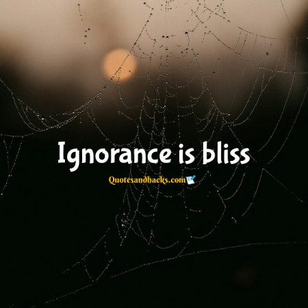 ignorance quotes