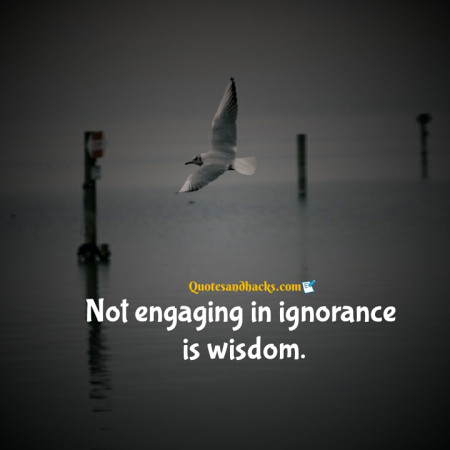 ignorance quotes