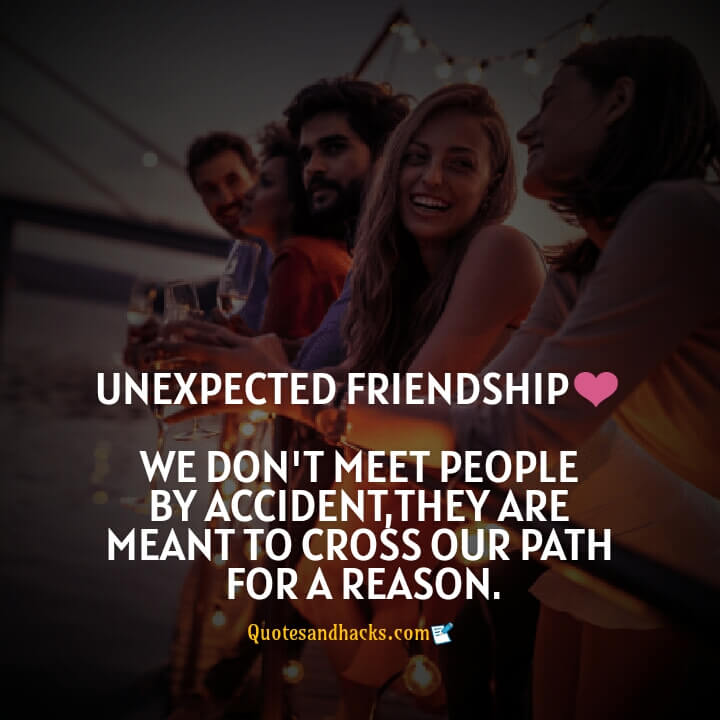 unexpected friendship quotes